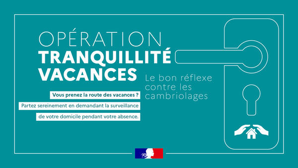 Titulaire D'un Permis De Stationnement - Livraison Gratuite Pour Les  Nouveaux Utilisateurs - Temu France